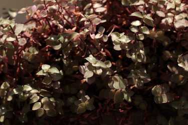 Similar image 22024186