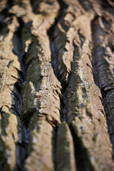 Similar image 22024188