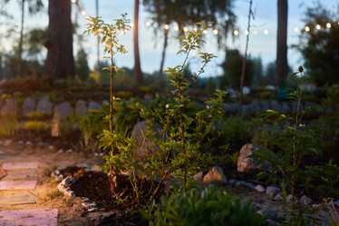 Similar image 22024199