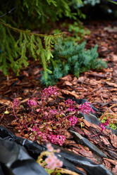 Similar image 22024203