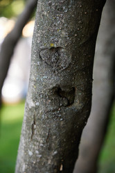 Similar image 22024206