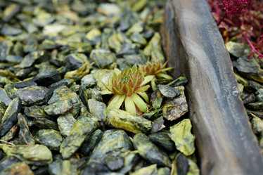 Similar image 22024209