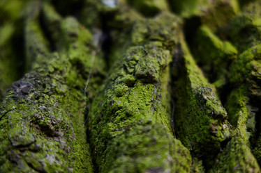 Similar image 22024210