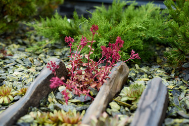 Similar image 22024628