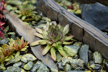 Similar image 22024631