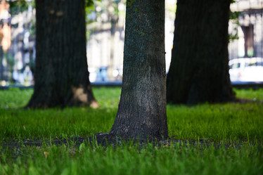 Similar image 22024633