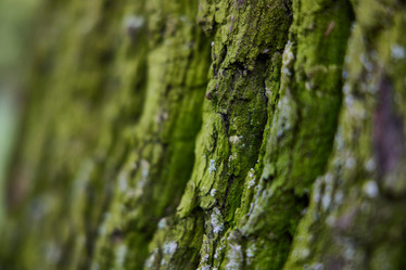 Similar image 22024641