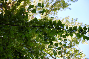 Similar image 22024651