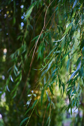 Similar image 22024656