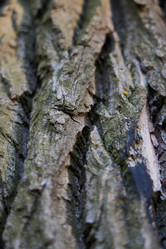 Similar image 22024926