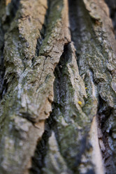 Similar image 22024928