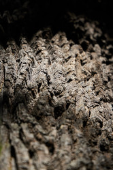 Similar image 22024213