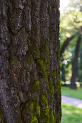 Similar image 22024216