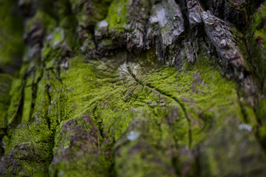 Similar image 22024217