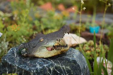 Similar image 22024221