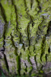 Similar image 22024225