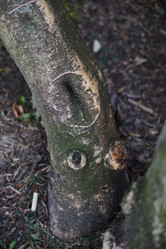 Similar image 22024668