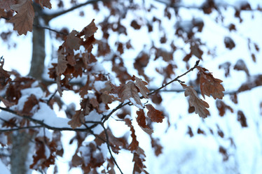 Similar image 22024685