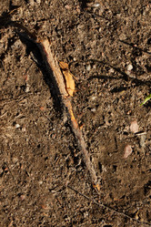 Similar image 22024227