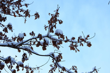 Similar image 22024229