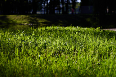 Similar image 22024230