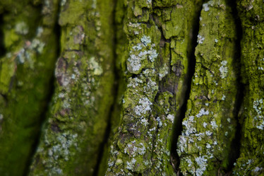 Similar image 22024232