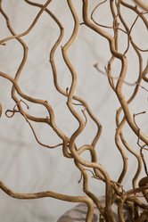 Similar image 22024234