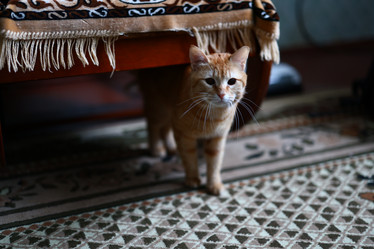 Similar image 22024244