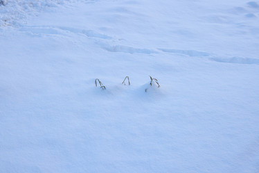 Similar image 22024245