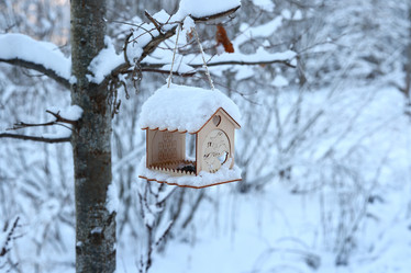 Similar image 22024246