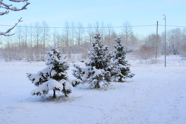 Similar image 22024247