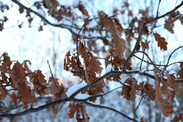 Similar image 22024251