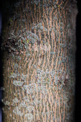 Similar image 22024254