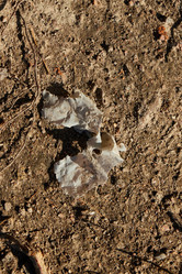 Similar image 22024693