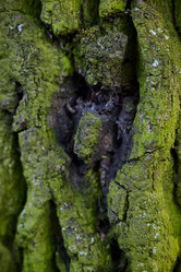 Similar image 22024696