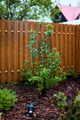 Similar image 22024705