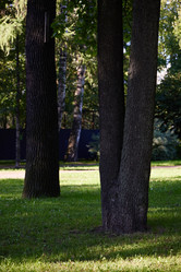 Similar image 22024711