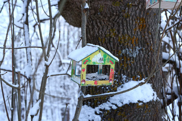 Similar image 22024720