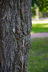 Similar image 22024721