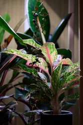 Similar image 22024934