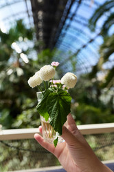 Similar image 22024935