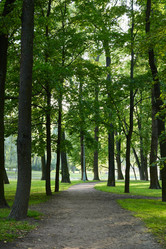 Similar image 22024937