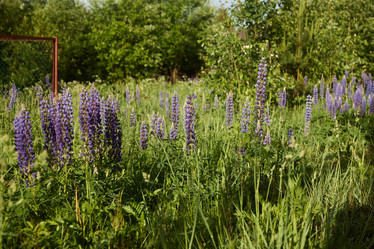 Similar image 22024262