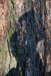 Similar image 22024264