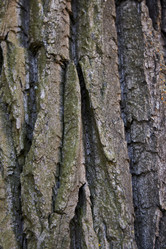 Similar image 22024265