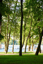 Similar image 22024270