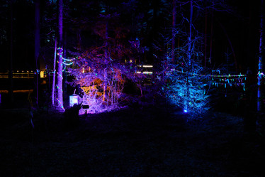 Similar image 22024275