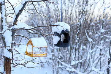 Similar image 22024278