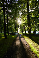 Similar image 22024729