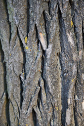 Similar image 22024731